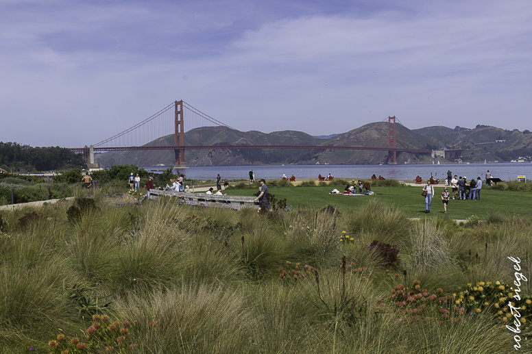 events 2026 - patricia koren celebration